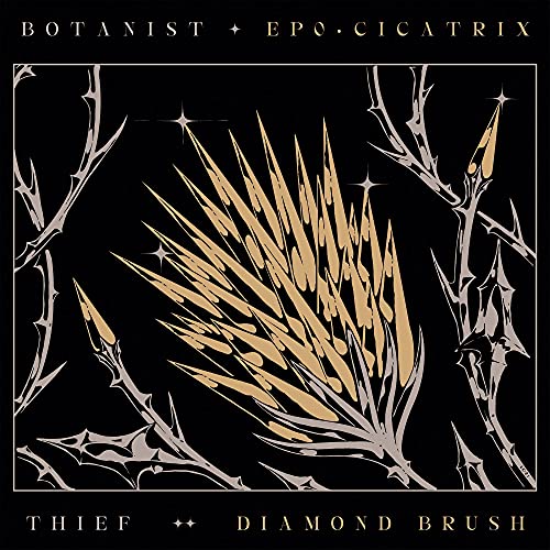 CD cover: black background with gold thorn branches and sparkling details.
