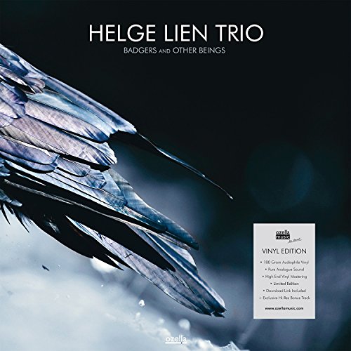 Album cover for Helge Lien Trio, featuring a raven’s wing in blue tones.