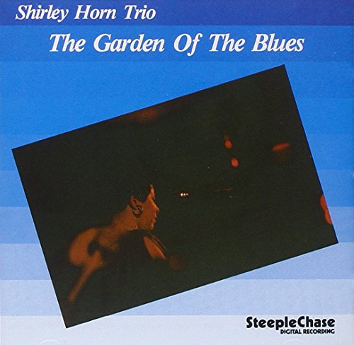 CD cover with singer and musician on dark background, blue and white stripes.