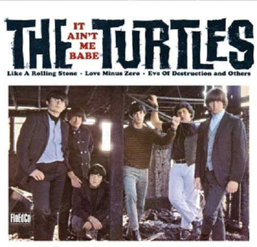 "Album cover featuring the band The Turtles with five members posing in a dimly lit room."