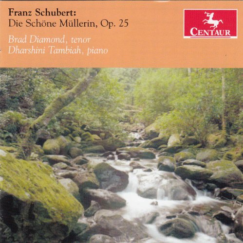 "CD cover with a serene forest stream and peach-colored header."