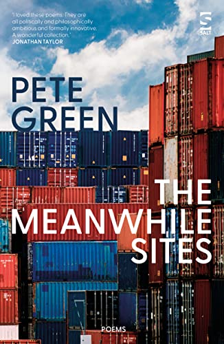 The Meanwhile Sites (Salt Modern Poets)