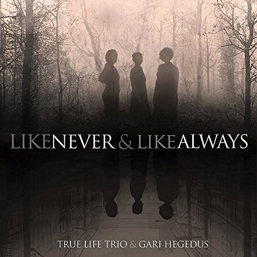 Silhouettes of three figures in a misty forest, album cover.