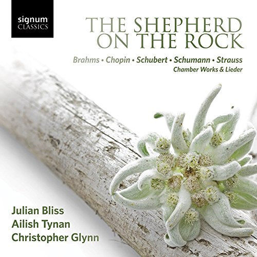 CD cover with a weathered branch and pale plant against white.