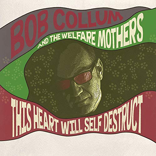 Album cover with a hooded figure and red eyes, titled "This Heart Will Self Destruct".