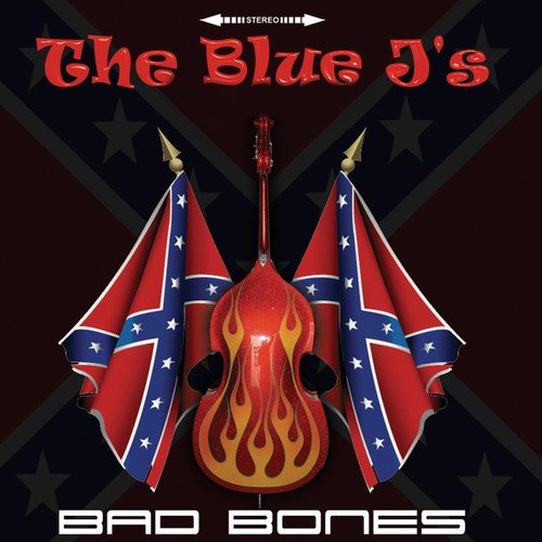 Album cover featuring a flaming guitar surrounded by Confederate flags on a dark background.