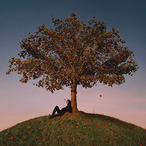 Person reclining by a tree laden with red apples on a hill.
