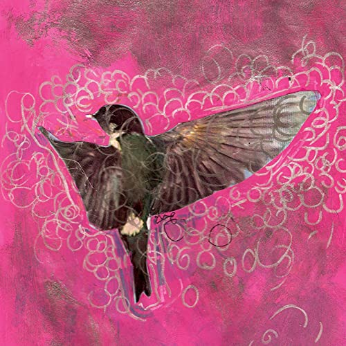 Dark bird with spread wings against a textured pink and silver background.