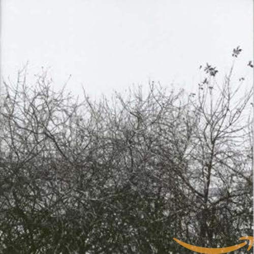 Black and white photo of bare tree branches against a pale sky.