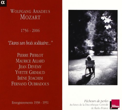 "CD cover with red panel, black and white forest image, and white text."