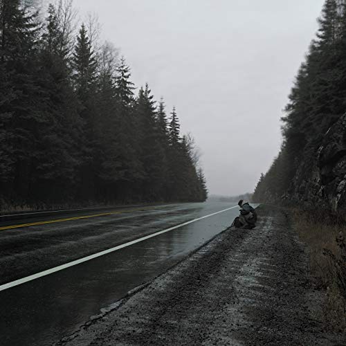 Person sitting on roadside near a wet highway, surrounded by trees.