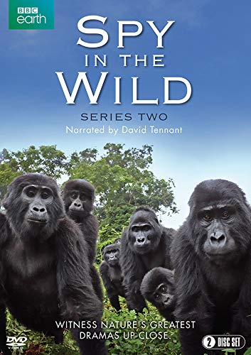 "Spy in the Wild: Series 2" DVD cover featuring a group of gorillas in lush greenery.