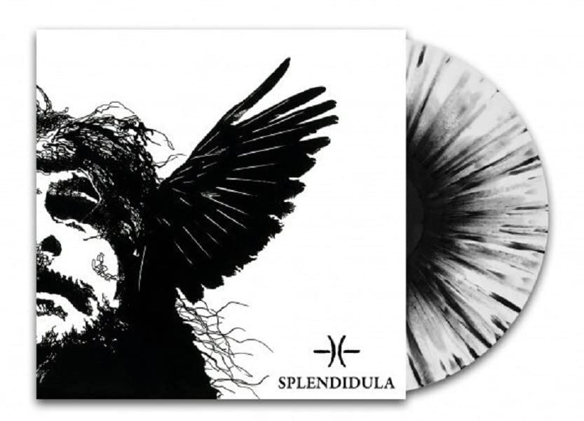 Vinyl record with black and white marbled effect, featuring a winged figure.