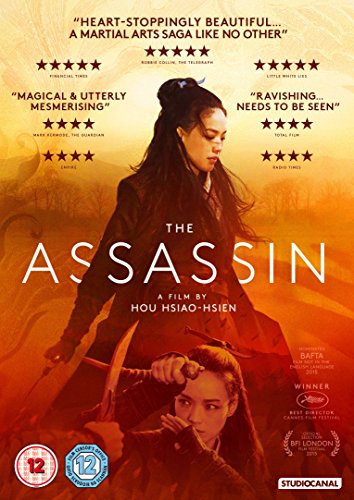 DVD cover for "The Assassin" featuring two women with bows and arrows.