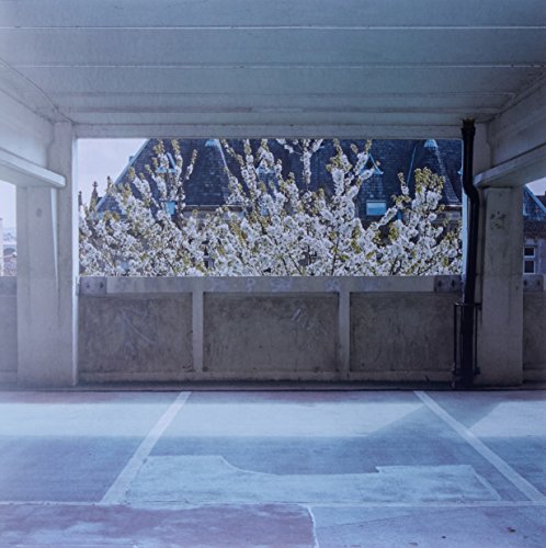 Concrete parking garage framing a view of flowering trees and rooftops.