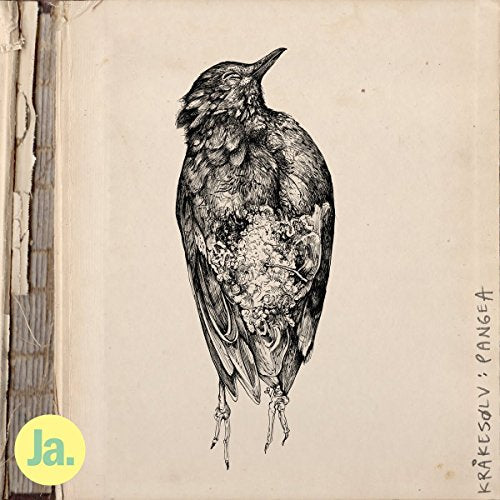 Ink drawing of a bird with exposed internal organs on beige background.