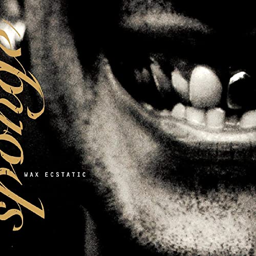 Close-up of teeth and gums, with gold text reading “Wax Ecstatic.”