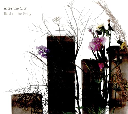 CD cover with wildflowers and grasses arranged in dark, rectangular vases.
