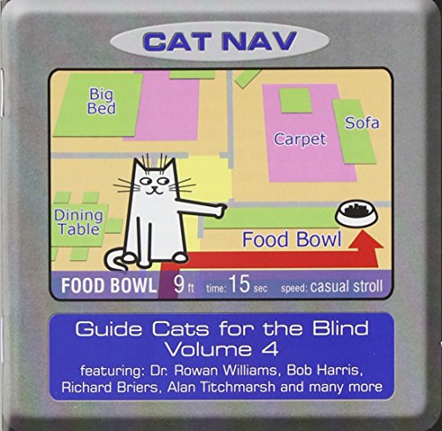 "Silver CD case with cartoon cat map and 'CAT NAV' title."