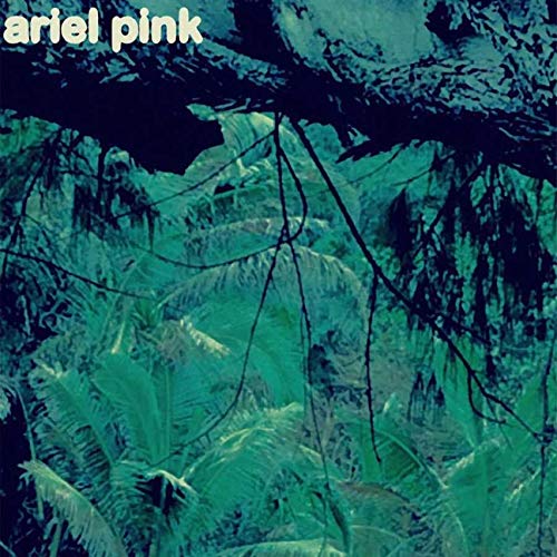 A vinyl record cover with a dark forest scene and "ariel pink" text.