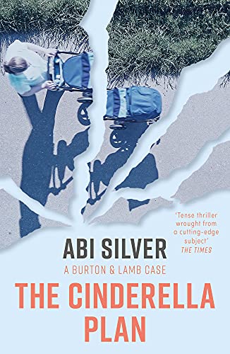 The Cinderella Plan (new ed) (Burton and Lamb Thrillers): Volume 3
