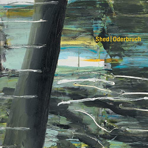The image shows an abstract painting with the text "Shed | Oderbruch" in yellow. alt text: Abstract painting with dark, green, and blue hues and yellow text.
