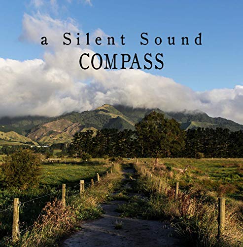 "Album cover with a serene landscape: a dirt path leading to distant mountains under a cloudy sky."