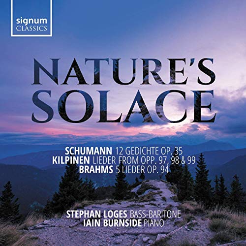 "Album cover with 'Nature's Solace' title, featuring a serene mountain landscape at dusk."
