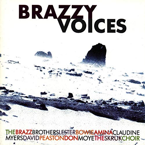CD cover for Lester Bowie’s “Brazzy Voices” with a rocky landscape.