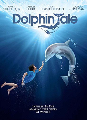 A boy swims underwater toward a dolphin with a prosthetic tail.