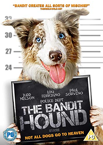 DVD cover featuring a brown and white dog holding a police lineup board.