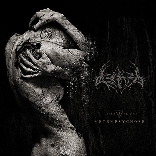 Black and white album cover depicting a distressed, fractured human figure.