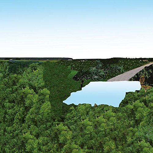 The image depicts a serene landscape featuring a body of water surrounded by lush greenery. alt text: "Aerial view of a lake or pond surrounded by dense green trees."