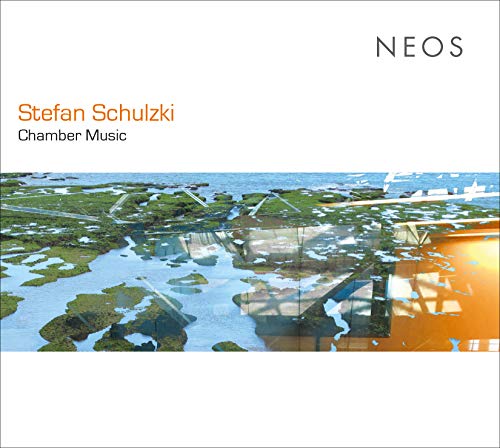 "CD cover with abstract landscape and text 'Stefan Schulzki Chamber Music' and 'NEOS'."
