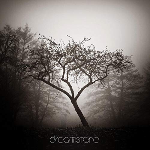 Monochrome image of a bare tree in a misty, dark forest; "dreamstone" text.