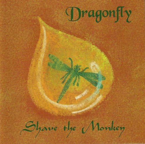 "CD cover art featuring a green dragonfly on an orange slice against a brown background."
