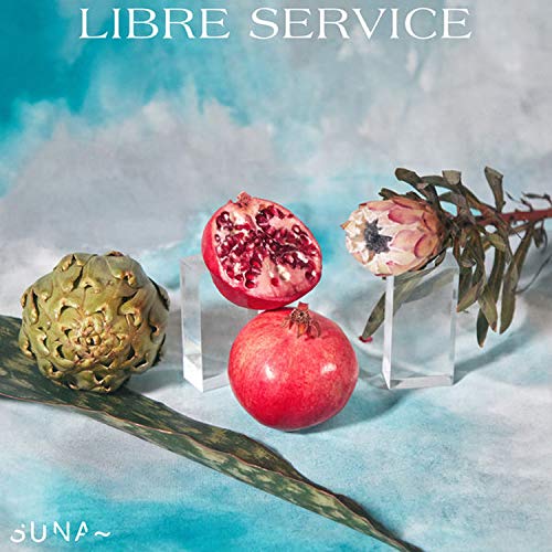 "CD cover art: pomegranates and artichoke on blue background with 'SUNA' text."