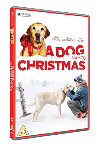 DVD cover for A Dog Named Christmas showing a yellow Labrador and a boy.