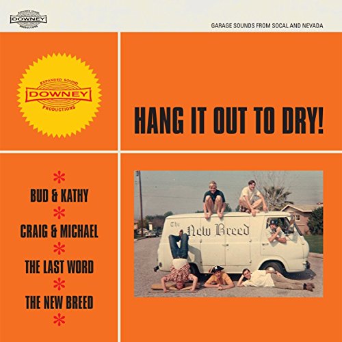 Vinyl album cover: orange background, people lounging on and around a van.