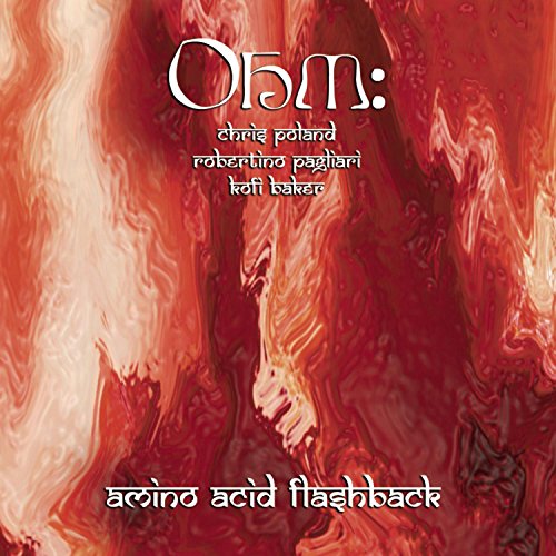 CD cover for “Ohm - Amino Acid Flashback” with red, swirling abstract art.