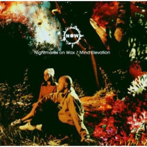 CD cover for Nightmares on Wax’s “Mind Elevation” with figures in foliage.