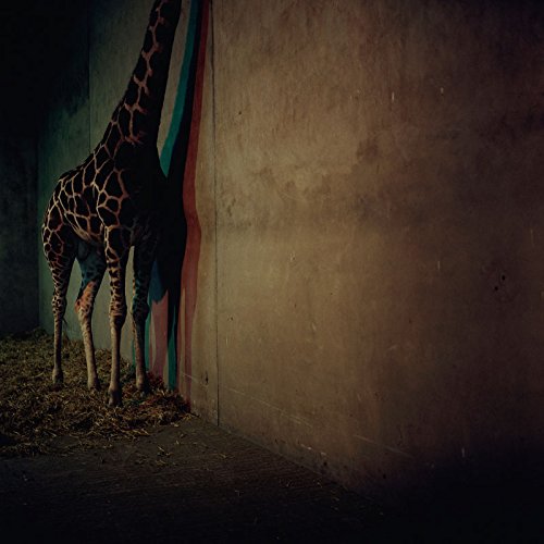 Giraffe standing near a wall, partially obscured in shadow.