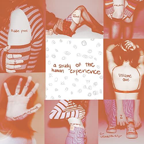 Vinyl album cover for GAYLE, featuring hands and fragmented text.