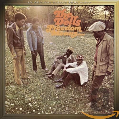 The Dells album cover: four men in vintage clothing in a field.