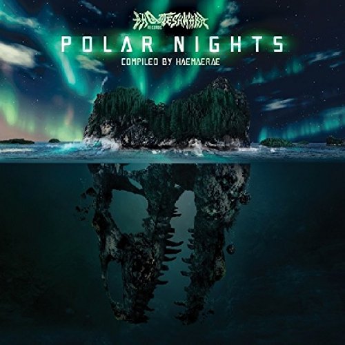 The image depicts a serene and mystical scene, with the title "Polar Nights" prominently displayed in white text at the top. The cover art features a rocky outcropping in the center, surrounded by water that reflects the island's image, creating a sense of symmetry. Above the island, the night sky is ablaze with the vibrant colors of the aurora borealis, adding to the enchanting atmosphere. For accessibility purposes, a concise alt text could be: "Album cover featuring a rocky island