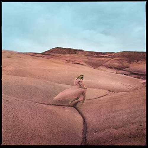 Woman in pink dress standing on desert hill with blue cloudy sky background.