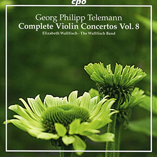 CD cover for Telemann violin concertos, featuring green coneflowers.