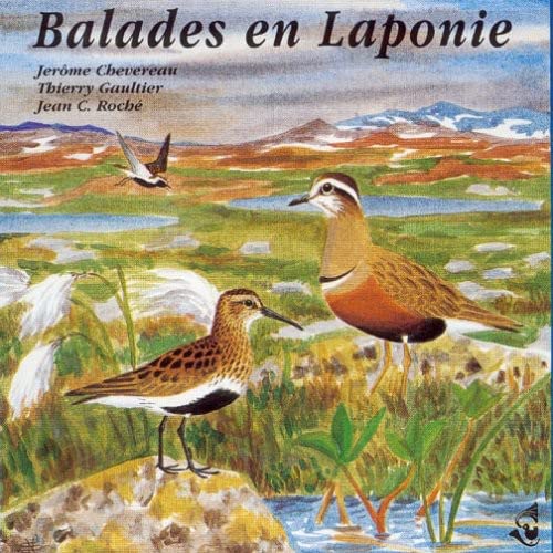 CD cover with painted landscape, birds, and snowy mountains in the background.
