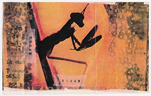 Silhouetted praying mantis on orange and textured collage background.