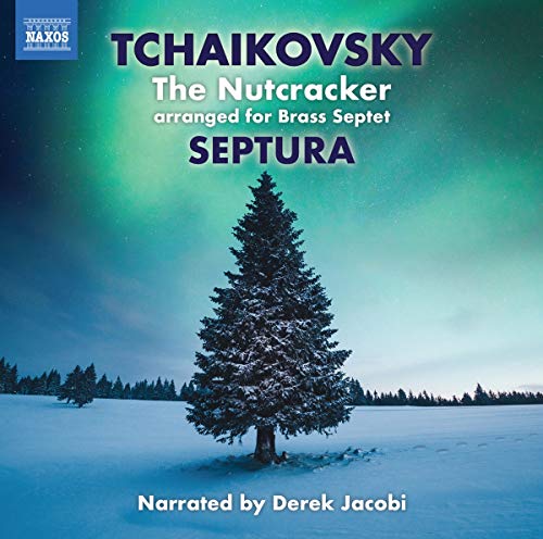 CD cover featuring a snowy tree under a green aurora-lit night sky.